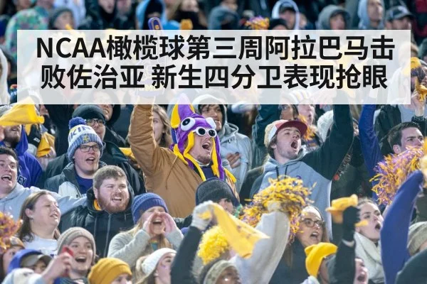 college football stadium crowd